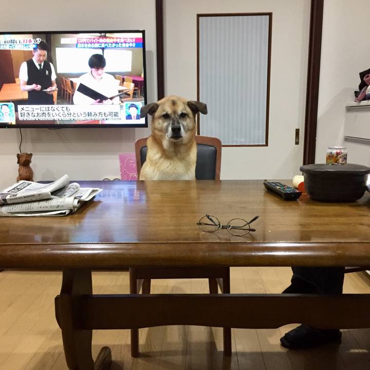 D2782212 00f4 447a 8690 ce3f6f673cc4 1540817116991