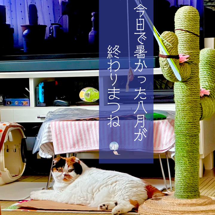 D278384d a9d7 43e7 80a1 333a5d099572 1693448859401