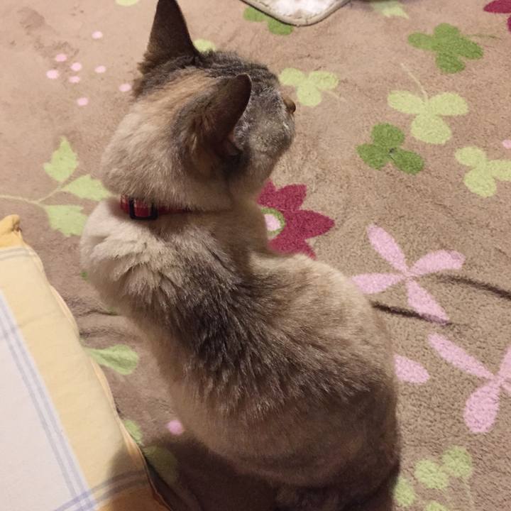 D2783eaf 90f7 4166 bdb4 7df331dd5f18 1524576926063