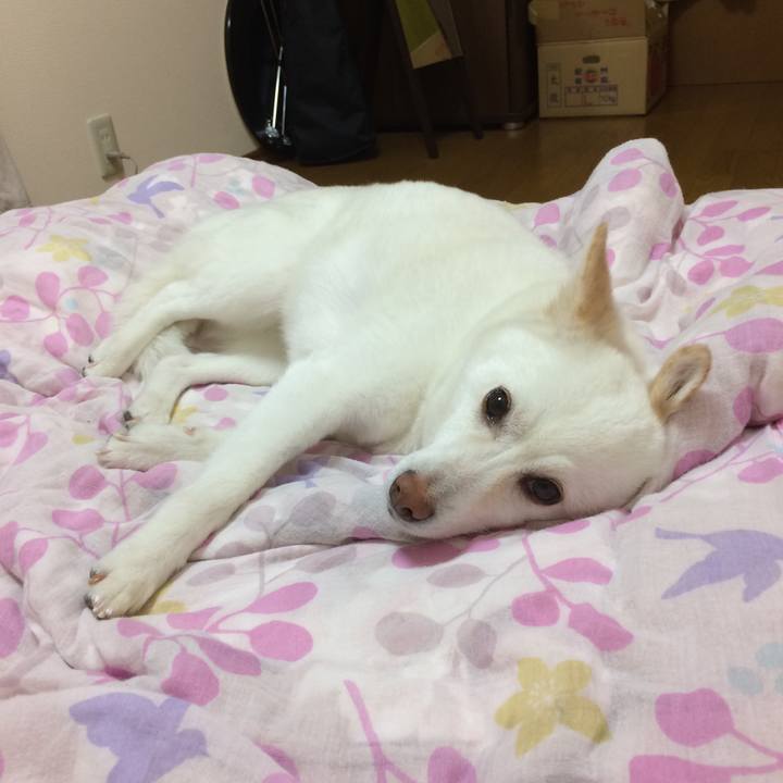 D2786492 3c63 4273 a87a 343573ee4747 1530968728334