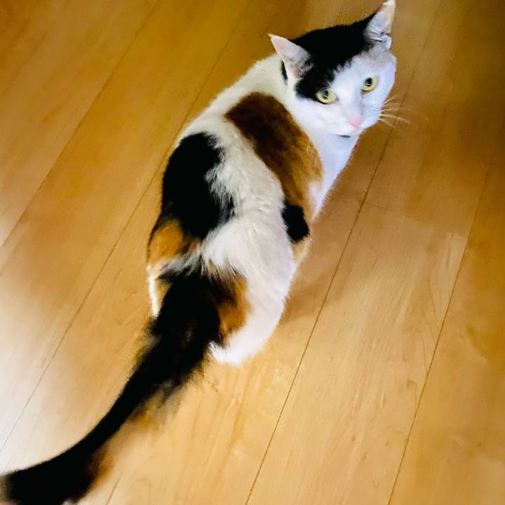 D2786803 90ce 4137 8020 aec7be4c2f34 1687296755783