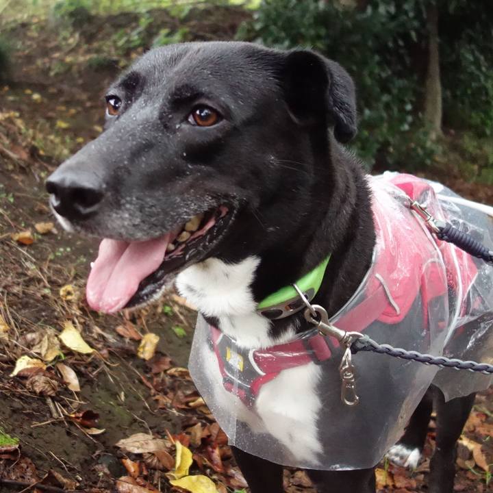 D2787995 4594 4ef2 b009 e2c1c17139b6 1634345897438