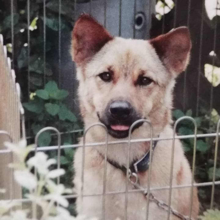 D2788cc1 2f6b 4363 b5fe 8f8989fb3e43 1630375618946