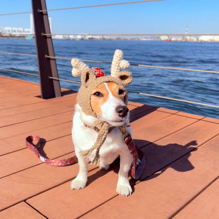 D278be95 9359 4115 9bbe fc1294081ec2 1764563693442