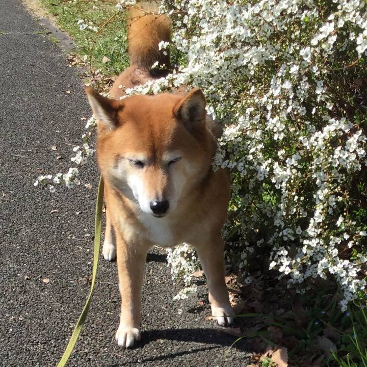 D278d8dc a1a1 43fa b50a 604806ce500a 1583474143674