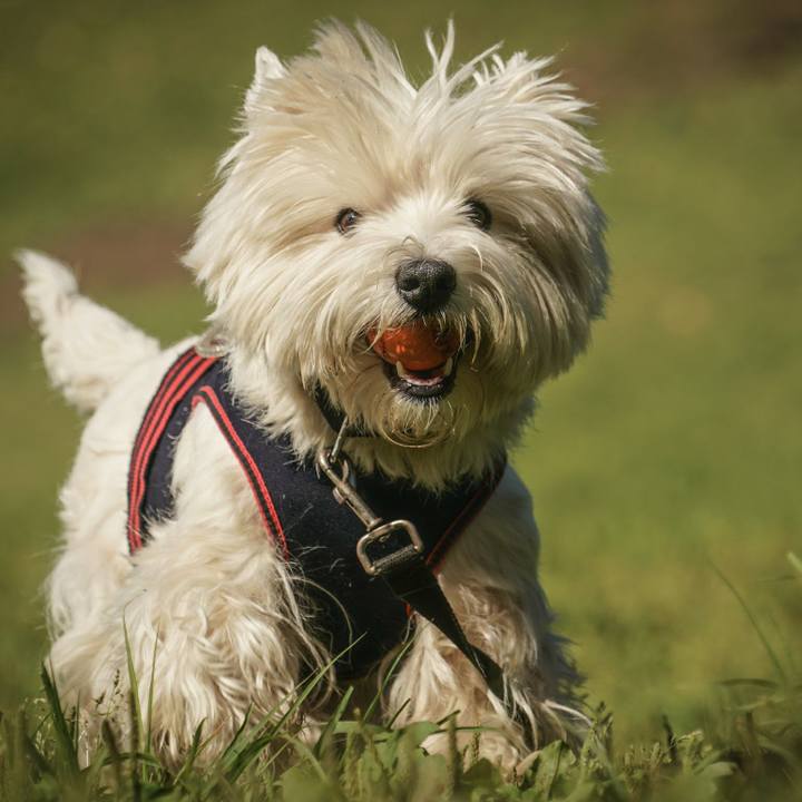 D279096e ae0b 4b1a 8014 da093164197a 1527859049359