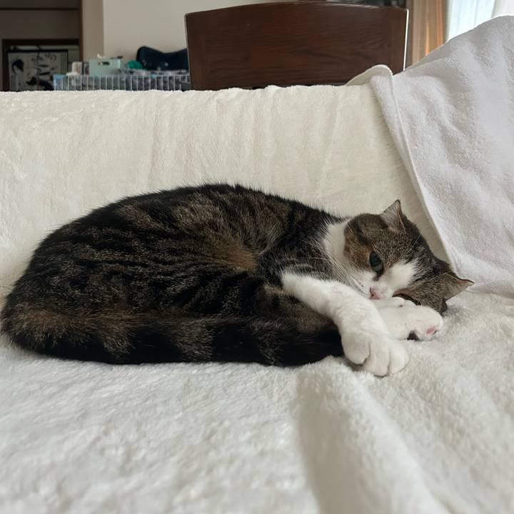 D2798420 80e1 480c 9a29 17cb368bf42a 1759700595224