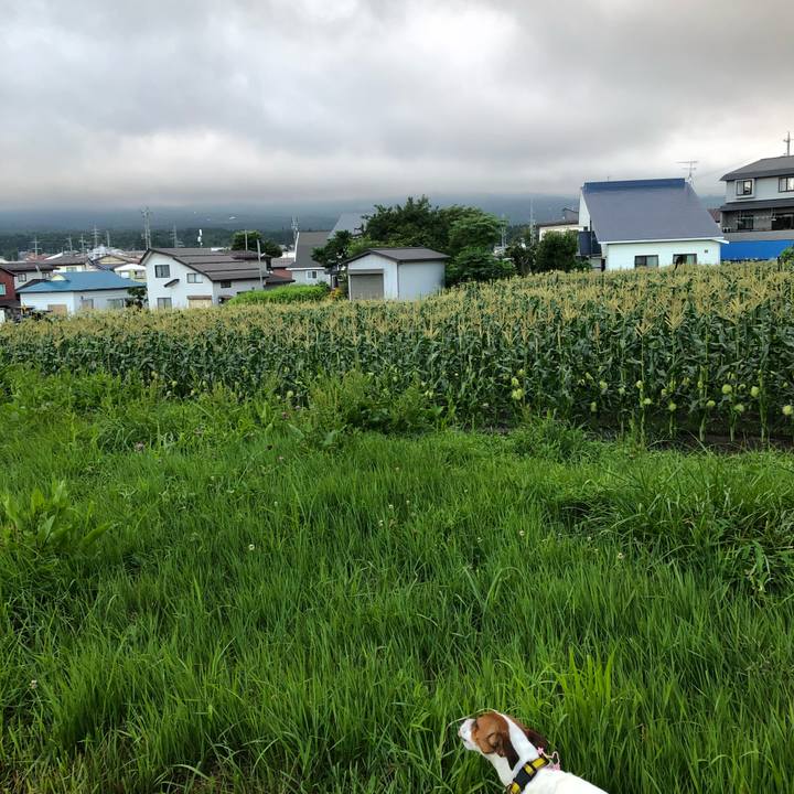 D2799ecb fcd0 4b7b 8571 3b2c4f799def 1532337423428