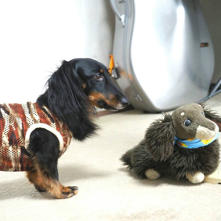 D279c39d 7c8c 4579 ad81 216adc910322 1569317854204