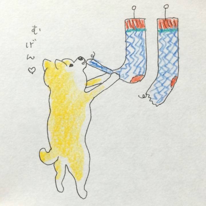 D279d3b2 9a5d 49e1 9602 7db34187f8ef 1764769196144