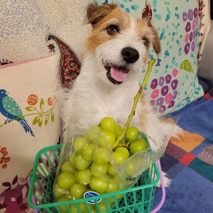 D279f0e2 e4aa 4219 bbf6 959d815e1232 1694004545170