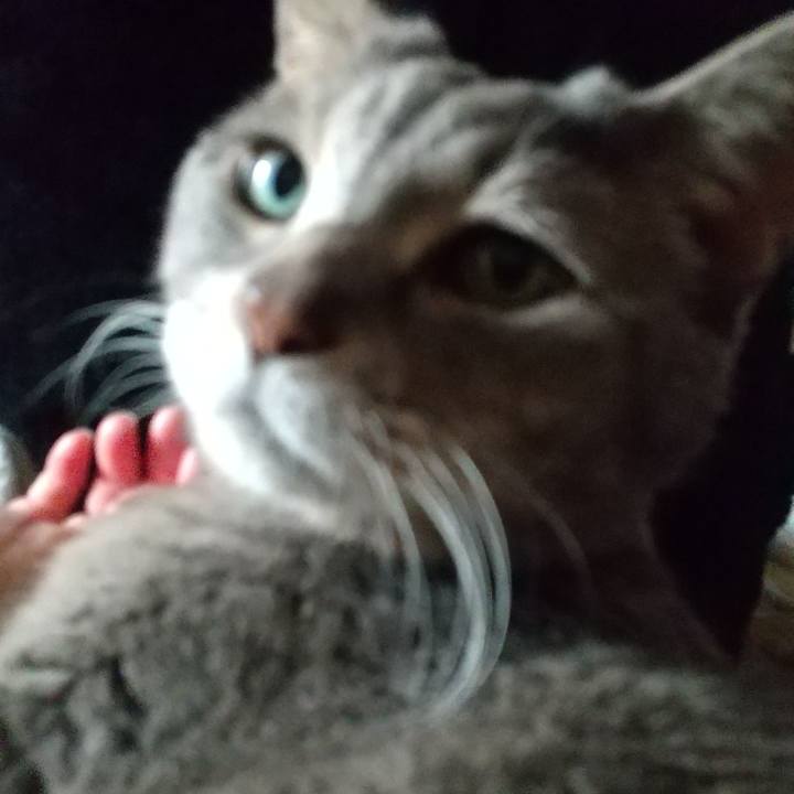 D27a0874 c734 4e5e 9c89 6c4d12533645 1685494174662