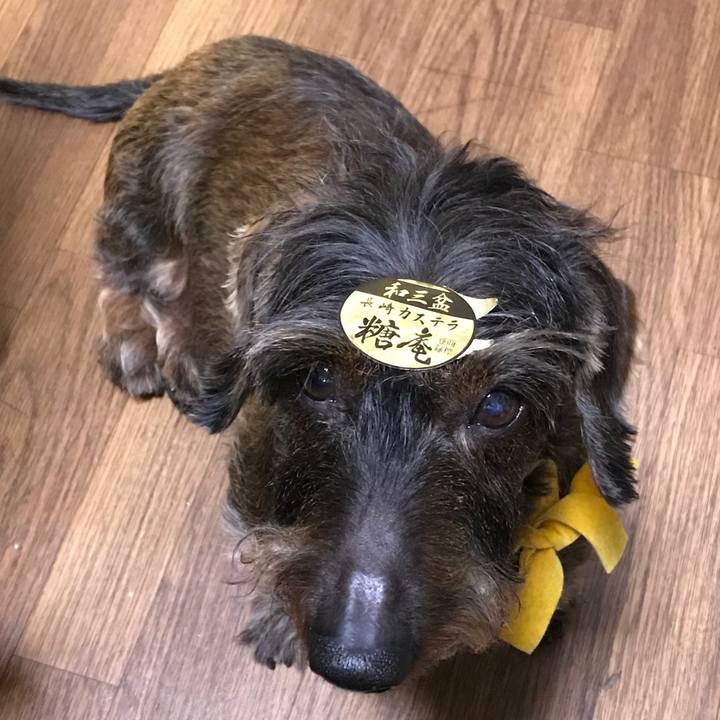 D27a3a11 1615 4a03 b7b9 79c6766aead4 1547880099656