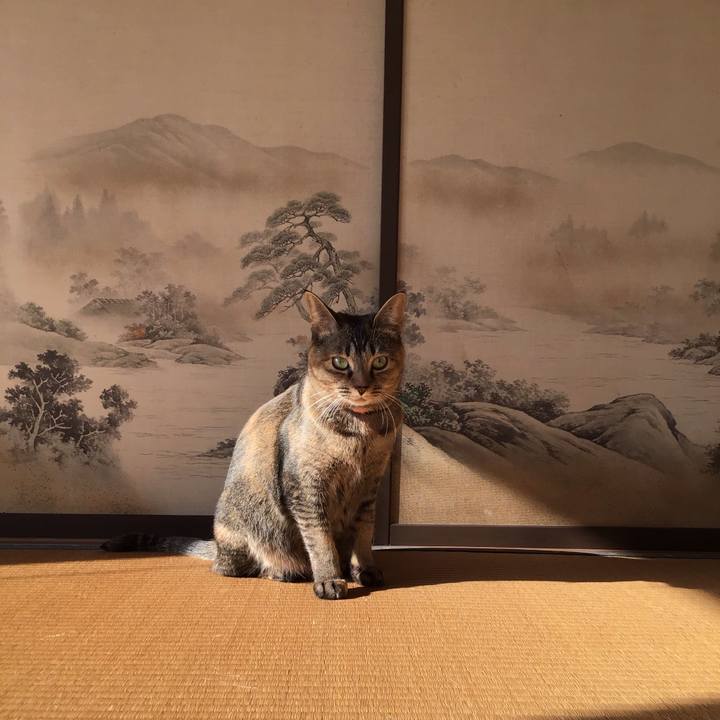 D27a85db a8e4 4835 9ce6 13366f6e8629 1607752284496