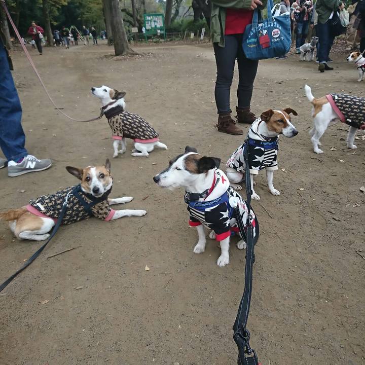 D27a8744 eb19 4fd6 a1d3 3990eb8b6072 1541297603570