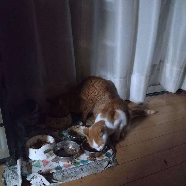 D27ac6d6 e7bd 4dda ba4d d85f7b488ce7 1732054112987