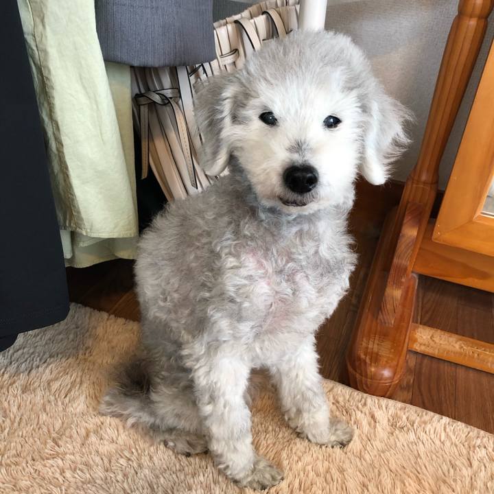 D27ad710 fd07 4084 b651 2f9614a6e881 1653523260521