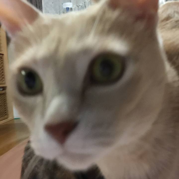 D27ad804 f151 4e8a a9f8 7238374e182d 1538913014781