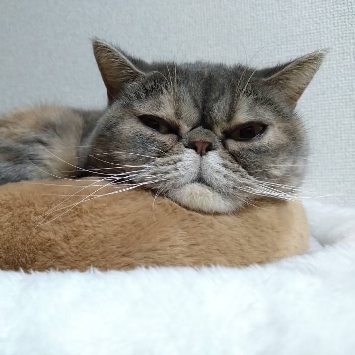 D27aea8a 89d4 4000 9a57 17406e6a590b 1765029745294