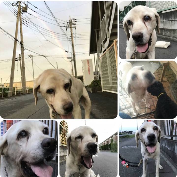 D27af25d 4c11 4bd2 85bd 166889def3da 1533900981305