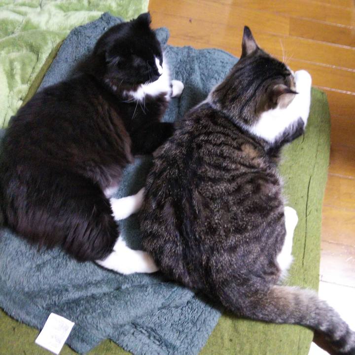 D27afb37 ff27 4dff b6c1 439ce7778408 1647899797472