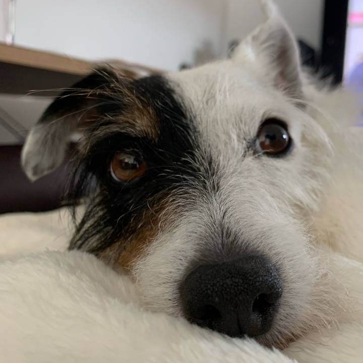 D27b0a9a bacf 456c 8ba3 4eaf6de6fee5 1687845890703