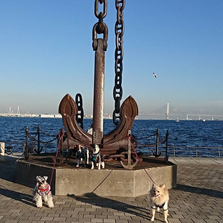 D27b0c12 7a8f 46fc b096 37feeba5a8df 1578742381238