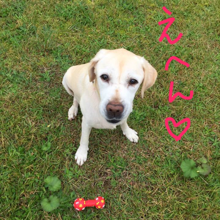 D27b27e1 f569 476d a001 cc1c4abb9f35 1508191784949