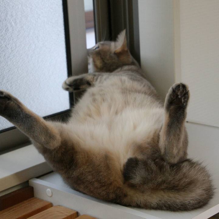 D27b5873 9487 44ec 8880 261c9c35aedb 1511830989530