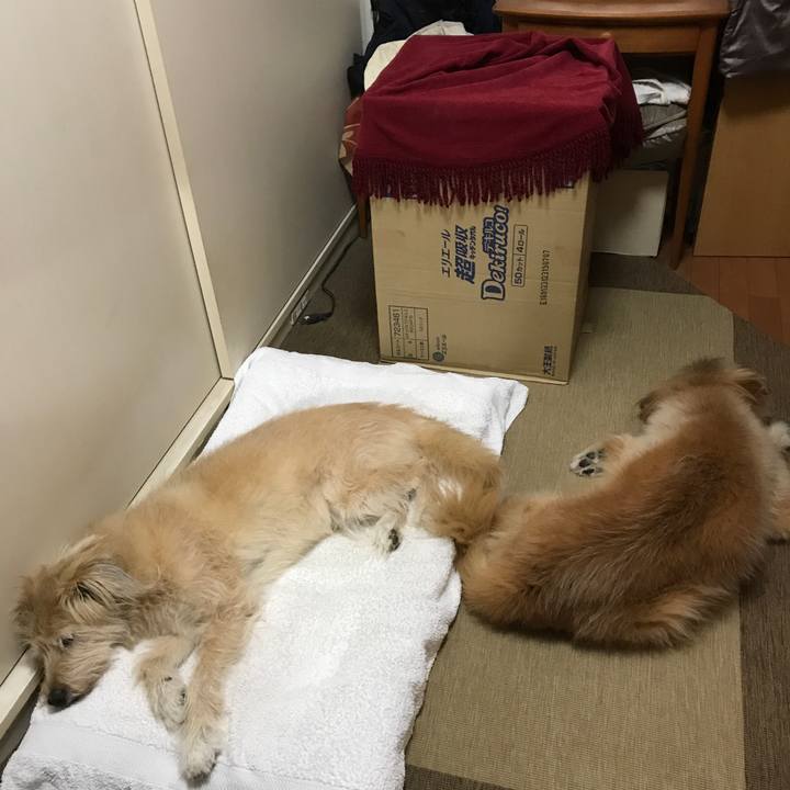 D27b5a76 b3c5 44ee bbc6 8e0045c6aba5 1539248315418