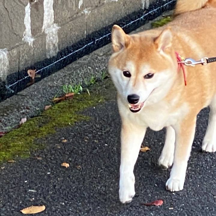 D27b664a 7d2f 4c01 b297 ae65e1ce9087 1573885032048