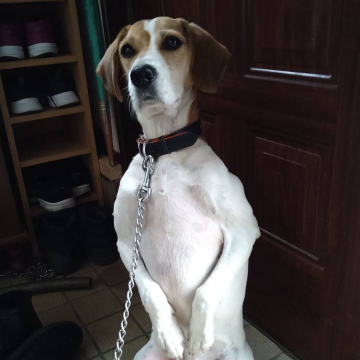 D27b6772 9a8b 4aa1 b7af 273b0d38ff37 1638424876523