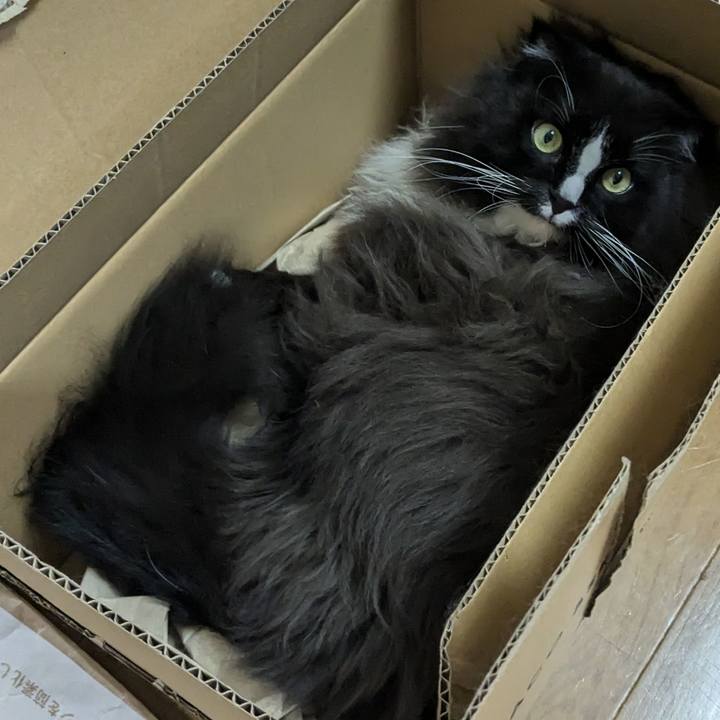 D27babc3 0ab5 4dc7 a53e 715afe482a92 1730721689836