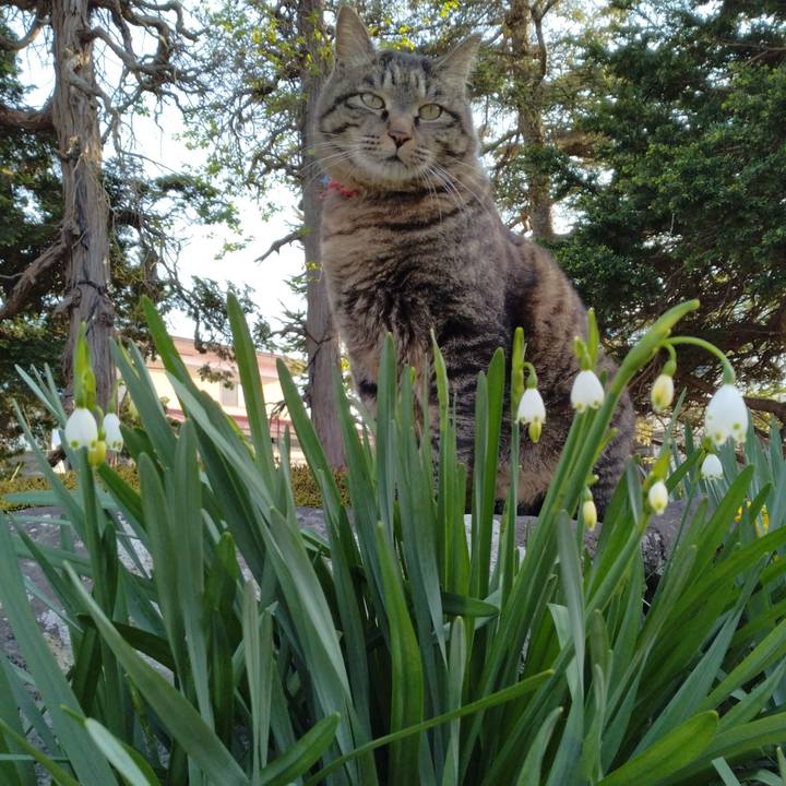 D27bb0fe b706 4dc9 bd72 5296fe31efe3 1682673232173