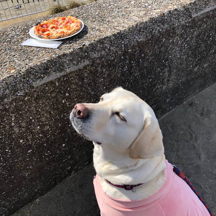 D27bc55e f90a 47d7 8850 531e113d525f 1645602541153