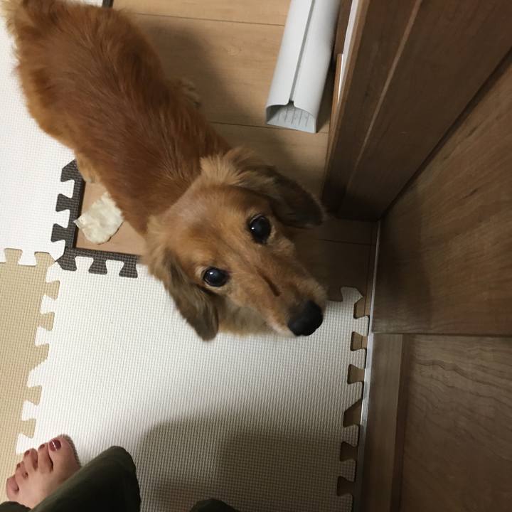 D27bc5b9 9d17 4a08 a9ef 9cbe81df6d38 1629803870700