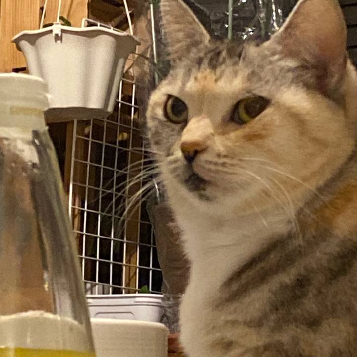 D27bc905 617b 4bfd b82f ee65ab9869fd 1641132922490