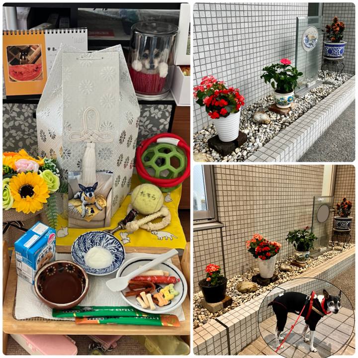 D27c01a6 74a0 4936 b771 f02e987ad62e 1659786910575