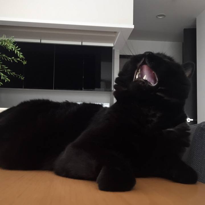 D27c0463 cc51 4b56 a60c b218bf36b5bc 1567300207801