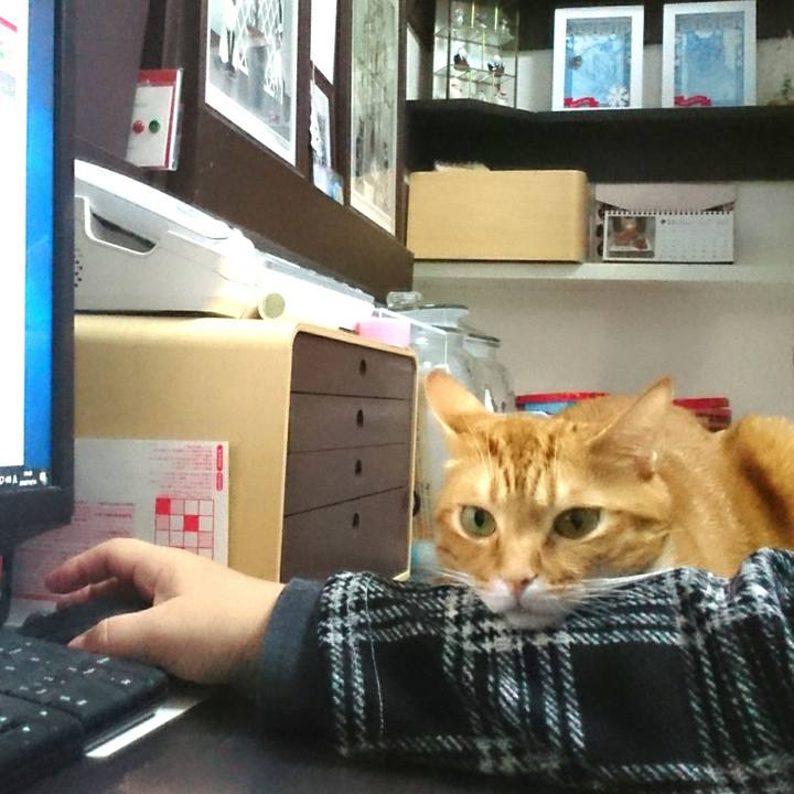 D27c14b4 2818 4f8c 8edc 033bbd0e9541 1542197423976