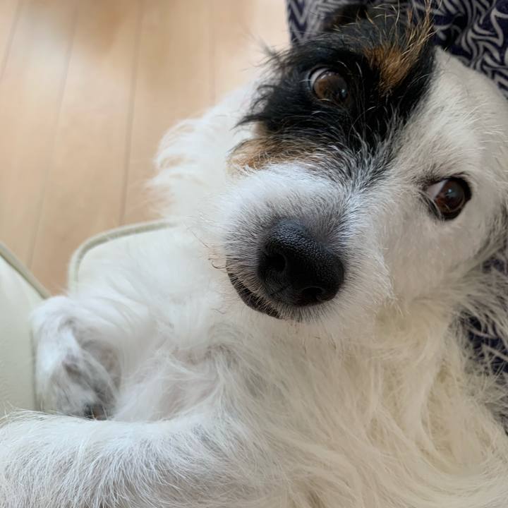 D27c3af6 3542 4594 8691 b666dc6e4717 1594880623956