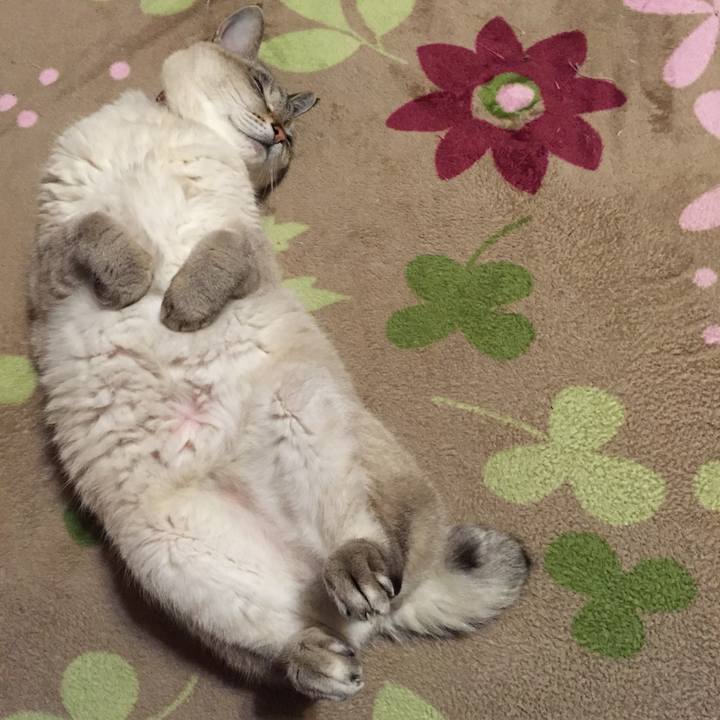 D27c7d5e c4f1 4ad7 a4b9 894538f1561c 1549626800621