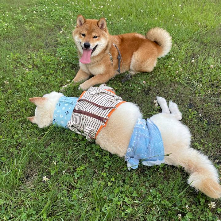 D27c806b 7489 4fb9 8c05 b919e45e1196 1658066925104