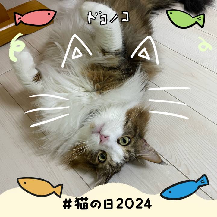 D27cc15d 763a 42be 9212 2afaf600b449 1708545500309