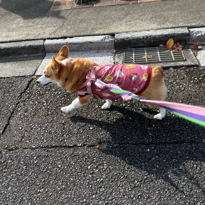 D27cc40a 5e16 47c6 8a01 b401bc460a2b 1762929864415