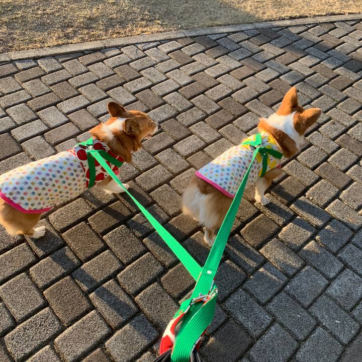 D27cd9e8 24de 4b2c 8025 d76e43855eff 1577602433456