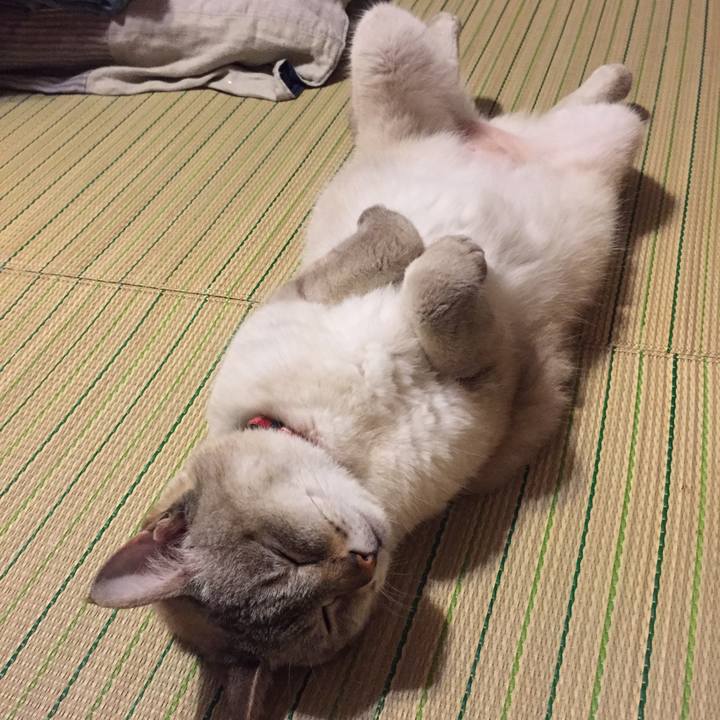 D27cda89 b8ef 42d8 a6ce 936d4720d808 1528459292090