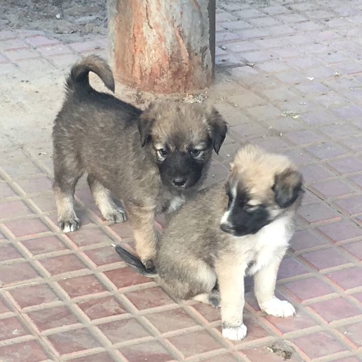 D27d1de0 0e5a 479e b250 f53d4f3f5b79 1545917201097