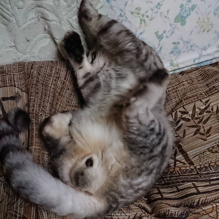 D27d33a1 90c6 468b 8461 0b174c403704 1565354777505