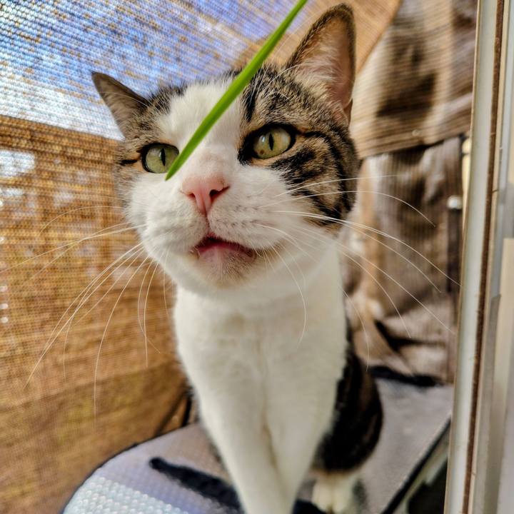 D27d4d6d 9f46 4299 9270 35d015943597 1760762012335